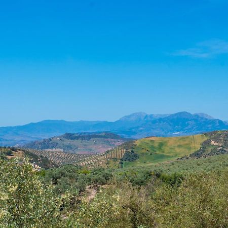 Alma Del Tejar Antequera La Higuera By Ruralidays Villa Bagian luar foto