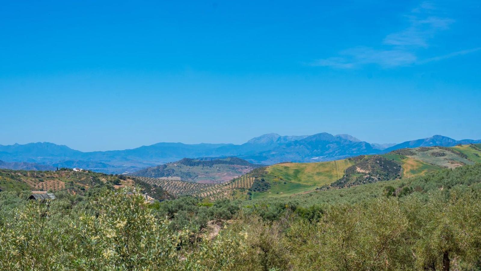 Alma Del Tejar Antequera La Higuera By Ruralidays Villa Bagian luar foto